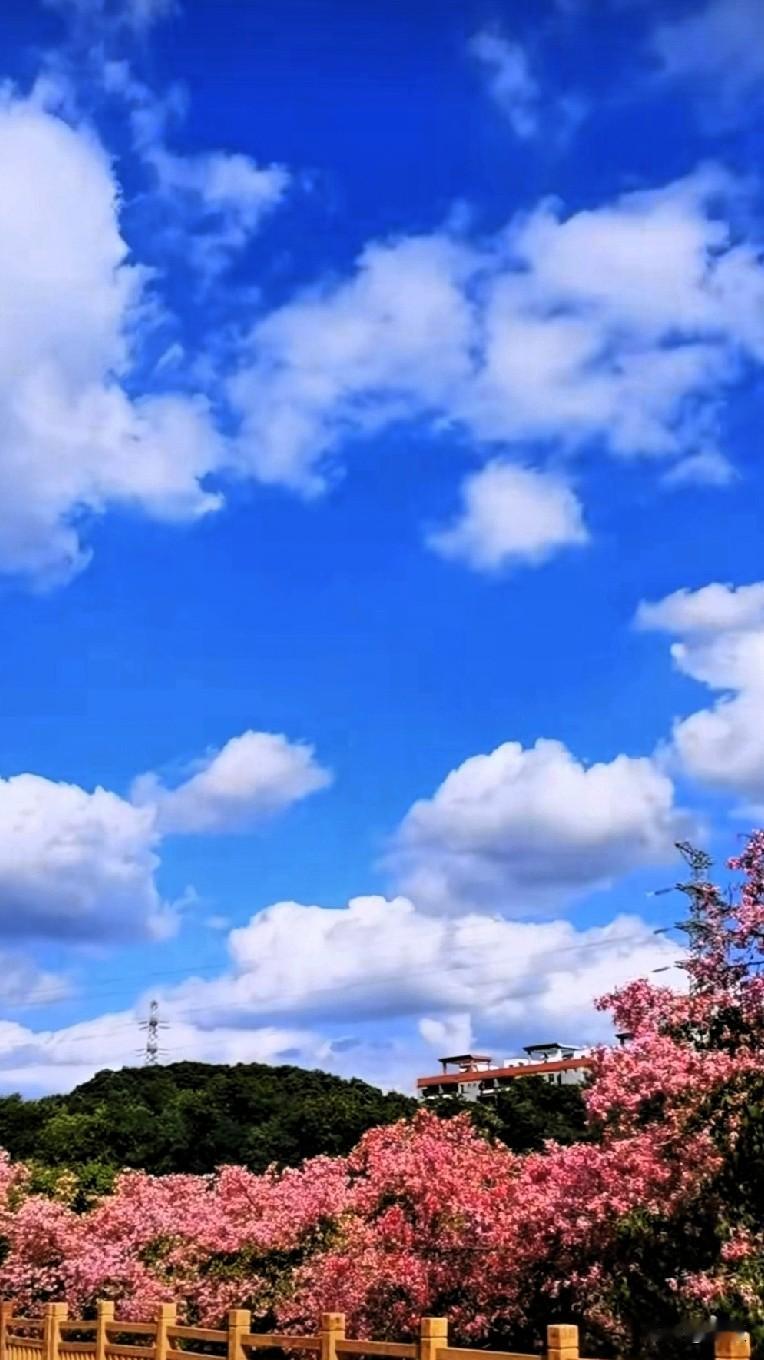 网络征婚靠谱吗单身的羡慕已婚的，已婚的羡慕单身的。而我是已婚的单身，余生只有修行