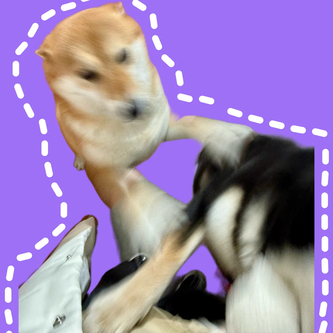 每天都上演的大场面