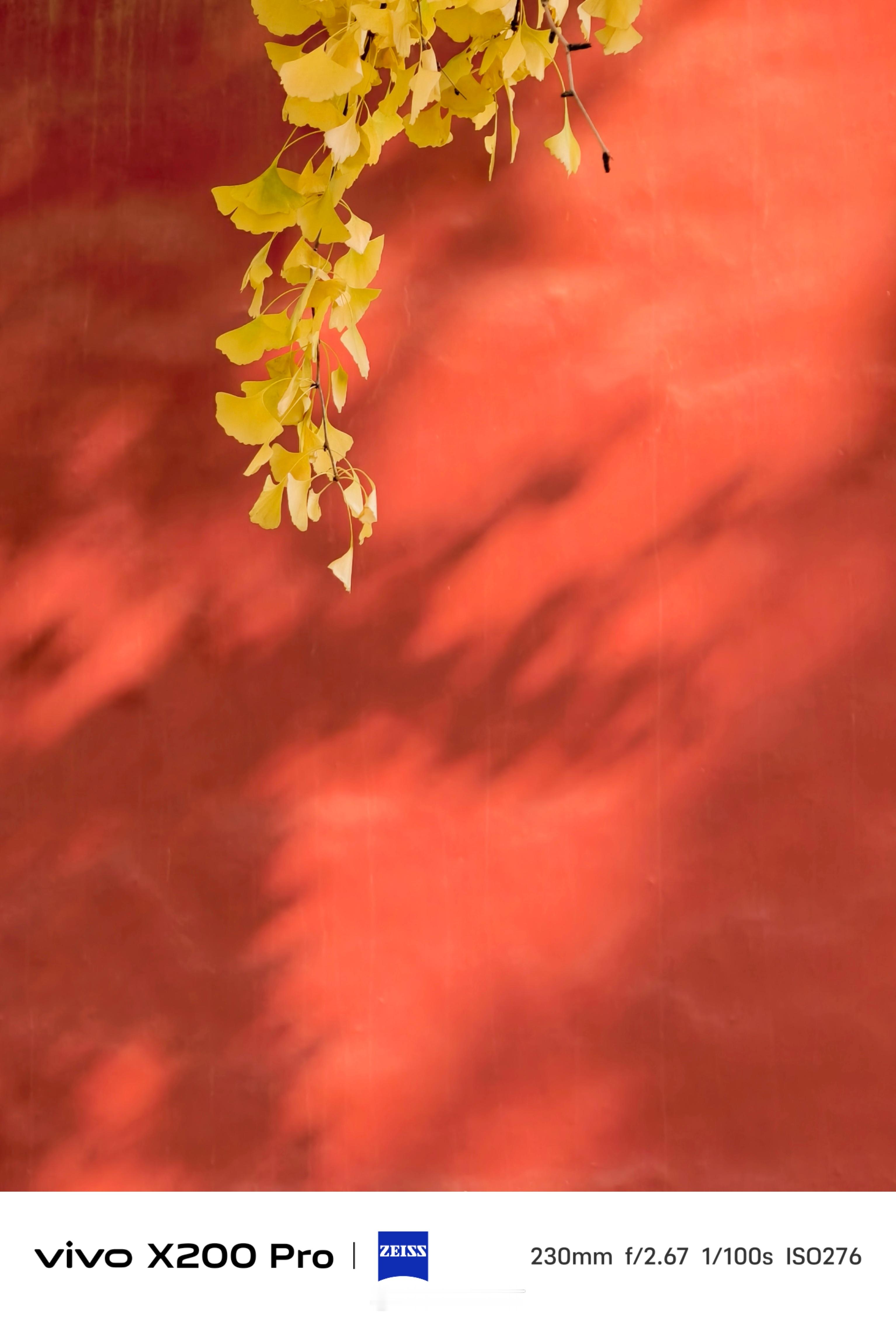 《故宫·秋》                                  