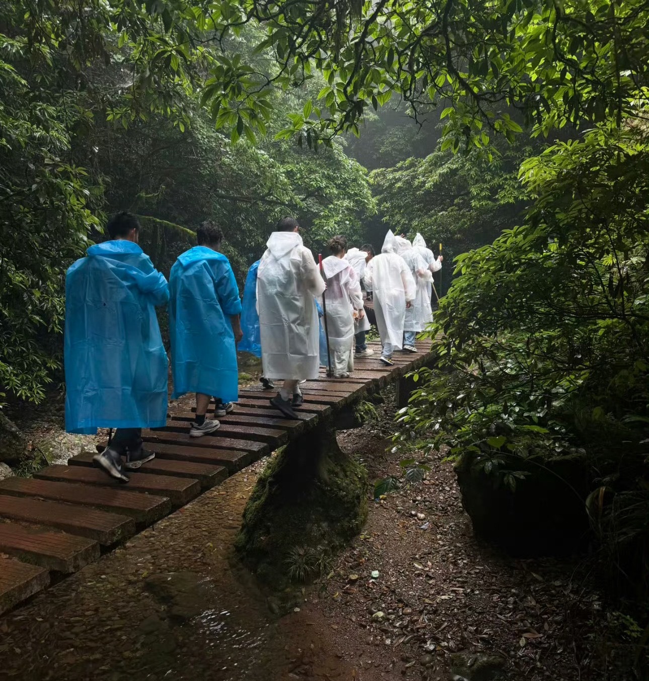 建议爬山不要买白色雨衣不仅是雨衣，爬山更建议穿鲜艳的衣服，一旦在山里迷路崴脚失联
