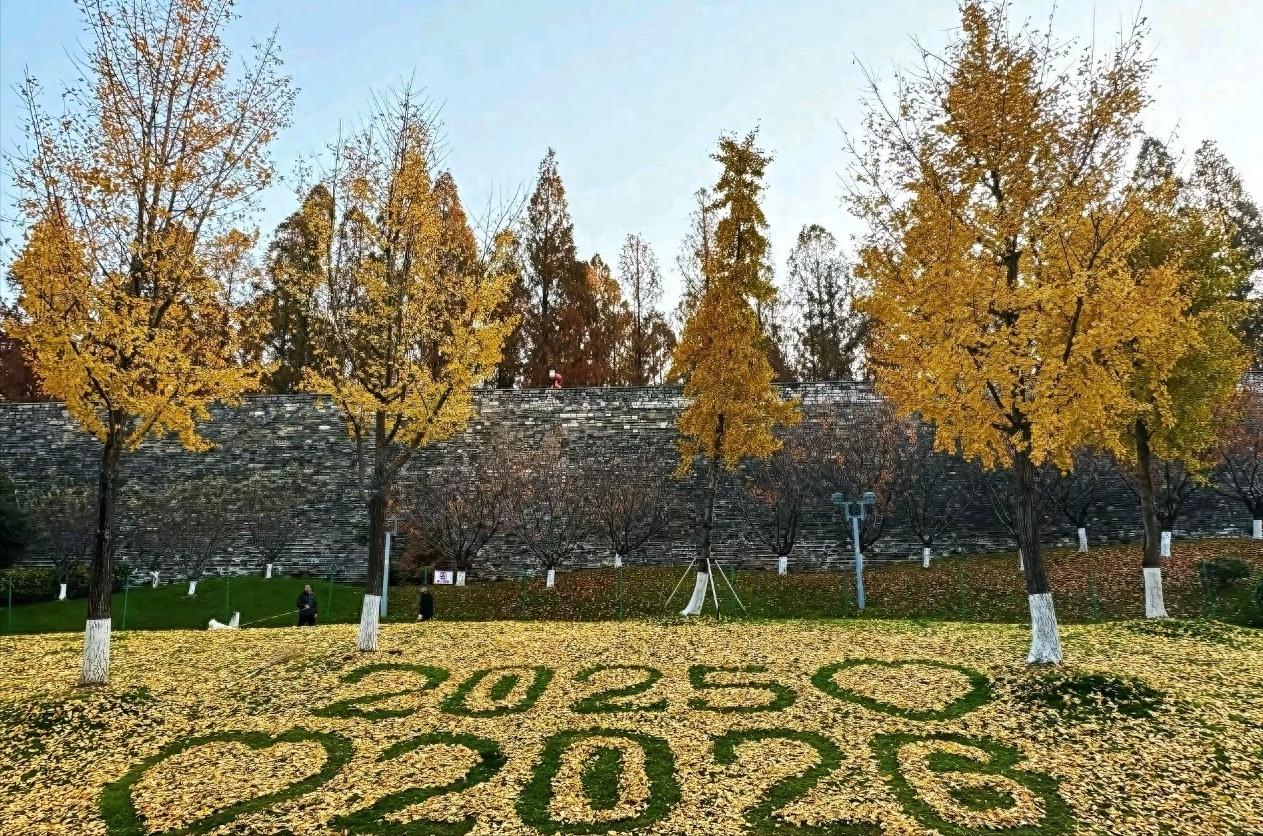 近日，在南京玄武湖，有位环卫大叔把落叶玩出了新花样，一不小心火了一把。
金黄的银
