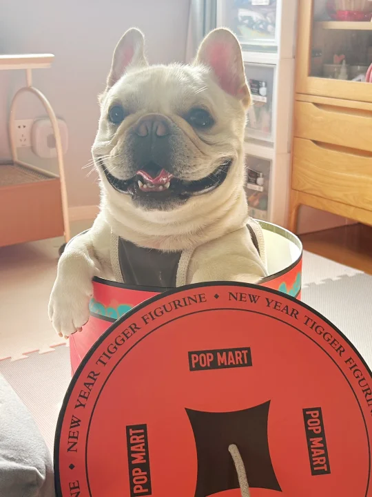 POP MART新品