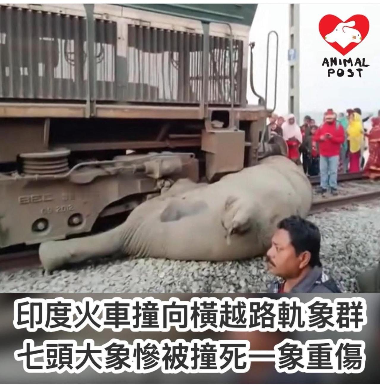 【观世界】【世界变得越发两极的了⋯⋯】

印度火车撞向横越路轨大象 - 七头大象