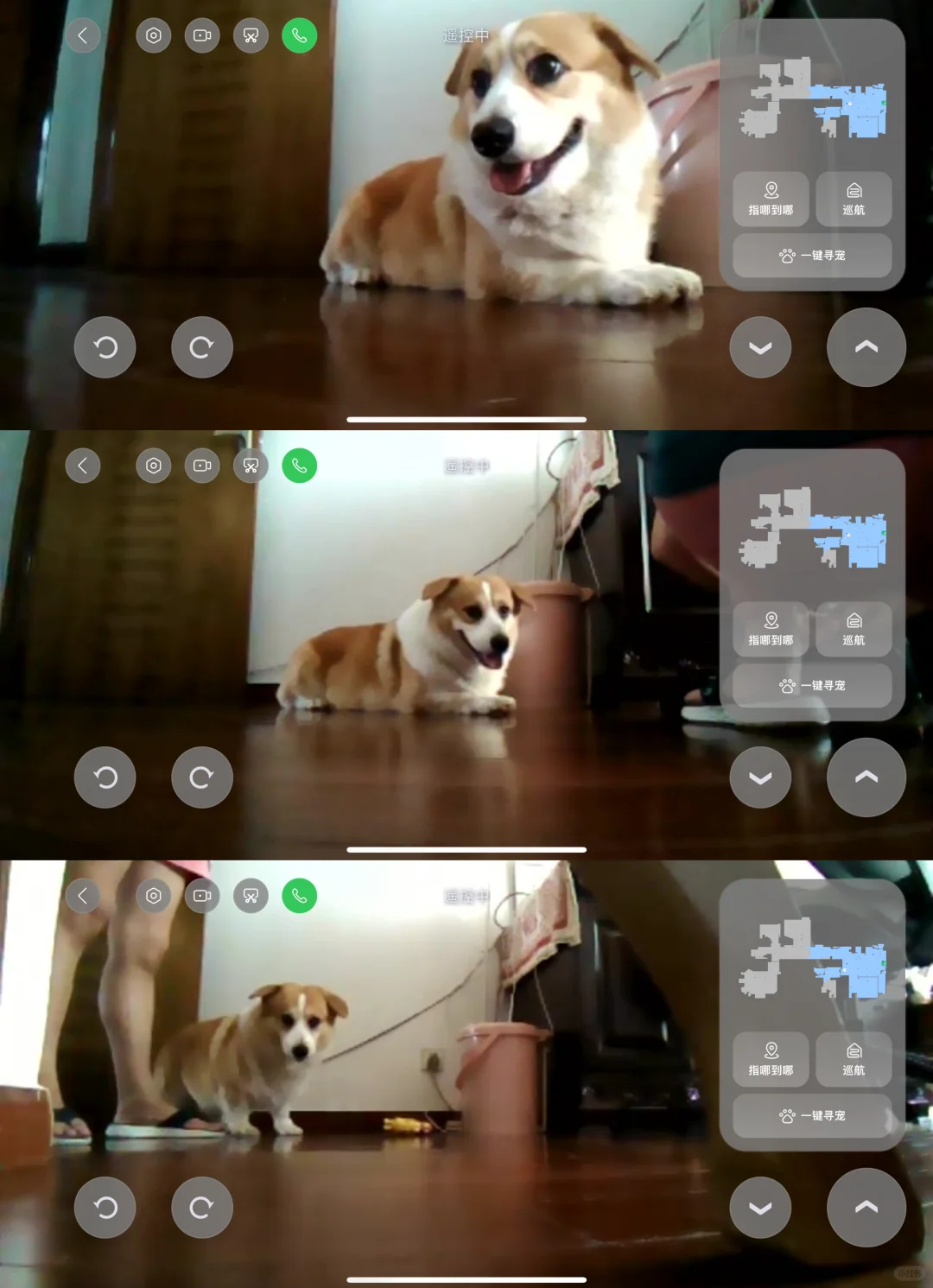 开着石头在家追狗