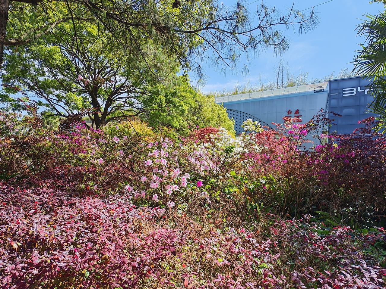首先我们写小说的初衷是什么?我写小说的初衷，就是退休后有个爱好，经常动脑子，不出