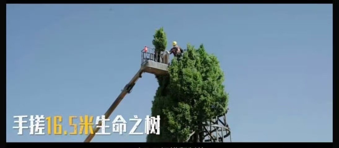 龙餐馆生命树竟然是手搓出来的细节见诚意，《欢迎来龙餐馆》这棵生命树手工打磨整整半