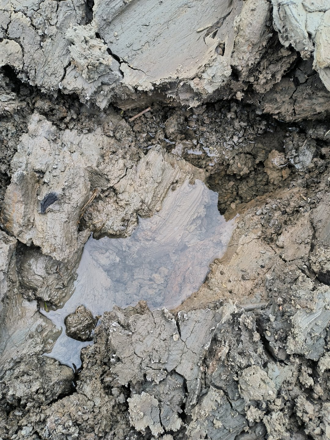 三幅图分别是丑土，巳与丑合，巳酉丑三合。精彩[doge] ​​​