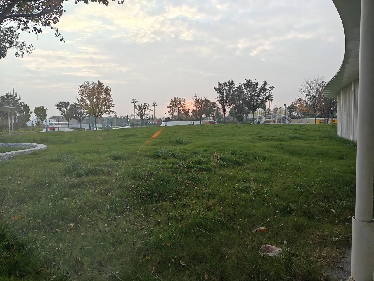 新的一年，新的开始，新的希望，新的生机，新的机遇，新的业绩我希望在未来的日子里，