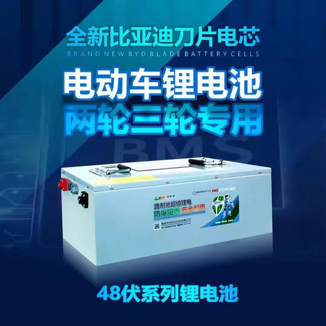 好多外卖骑手心动比亚迪两轮车电池，想换又怕被交警抓。其实能不能换，得看原本是铅酸