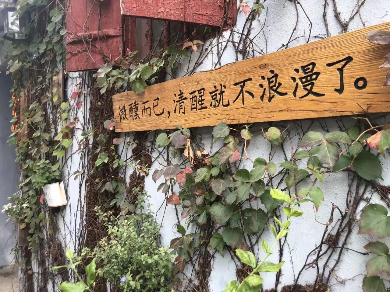 头条的没落，绝不仅仅是因为抄袭洗稿已经泛滥成灾，也不是因为社区规范不透明、隐形限