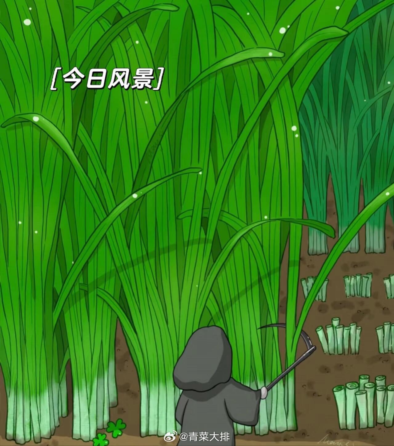 看了一眼基金： 
