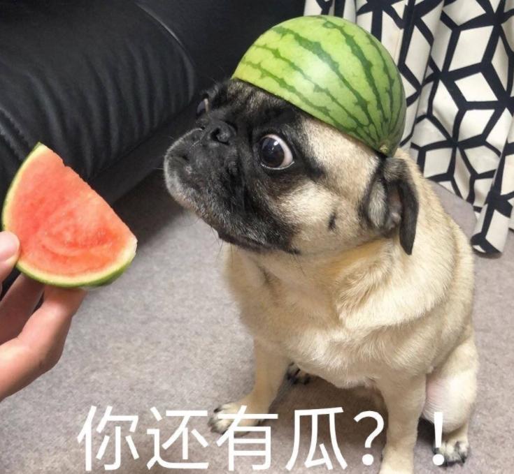 敢不敢说出一件至今为止不超过两人(包含你)以上知道的事情，越劲爆越好，网络上大家