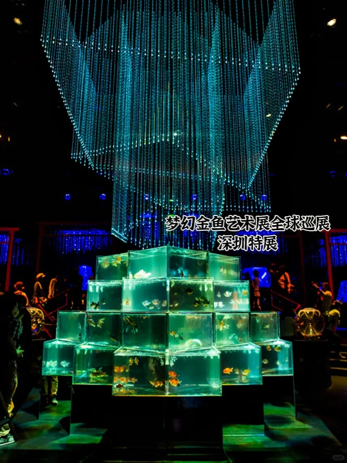 深圳梦幻金鱼艺术展！根本拍不停！