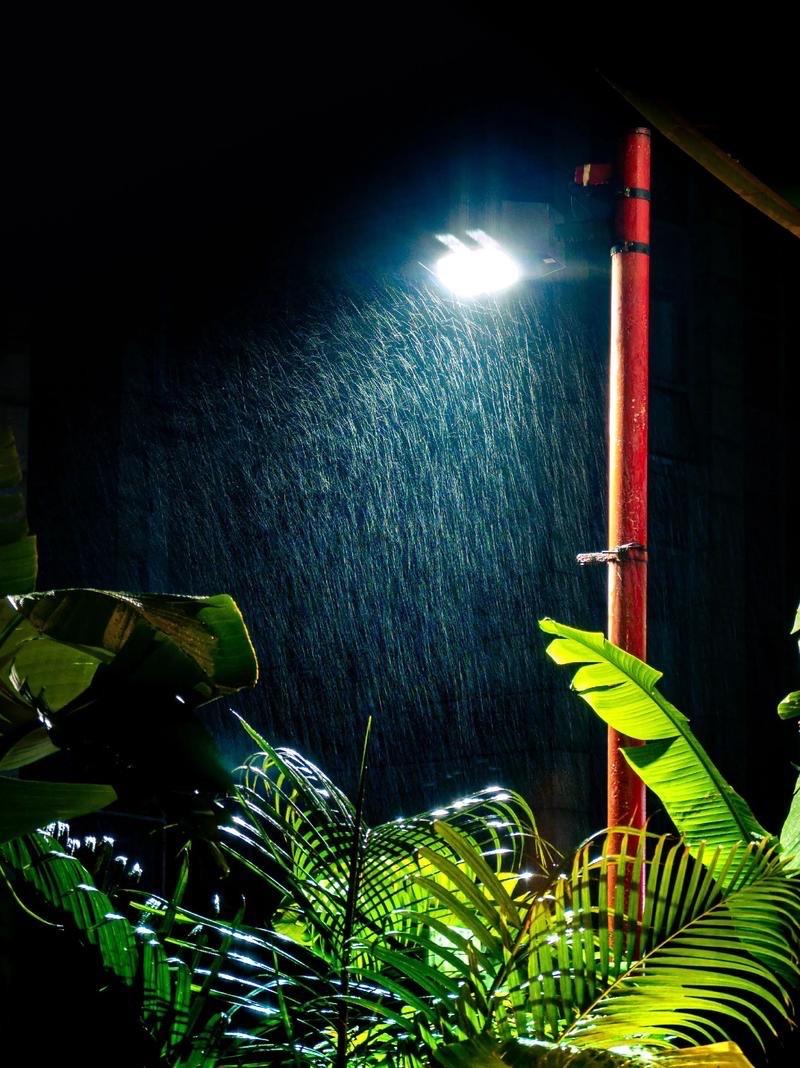 浣溪沙 · 雨夜
        
飒飒潇潇一夜鸣。
奈何扰梦过窗楹。
又教辗转