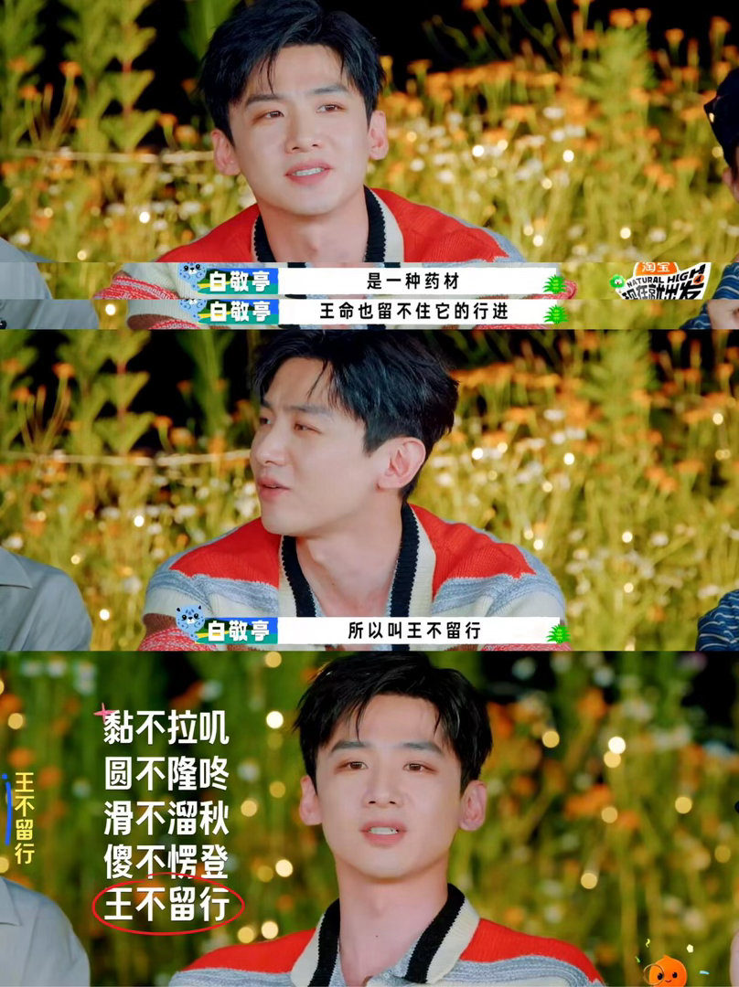 白敬亭瞎掰的"王不留行"，居然是真的药？ ​​​