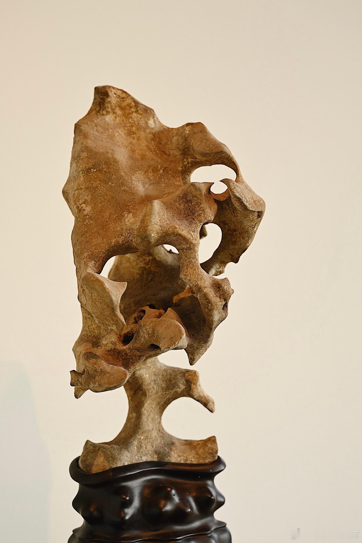 太湖石“苍岚峰影”石体肌理苍古，孔洞连环交错，峰峦跌宕起伏，形态奇崛写意，宛若层