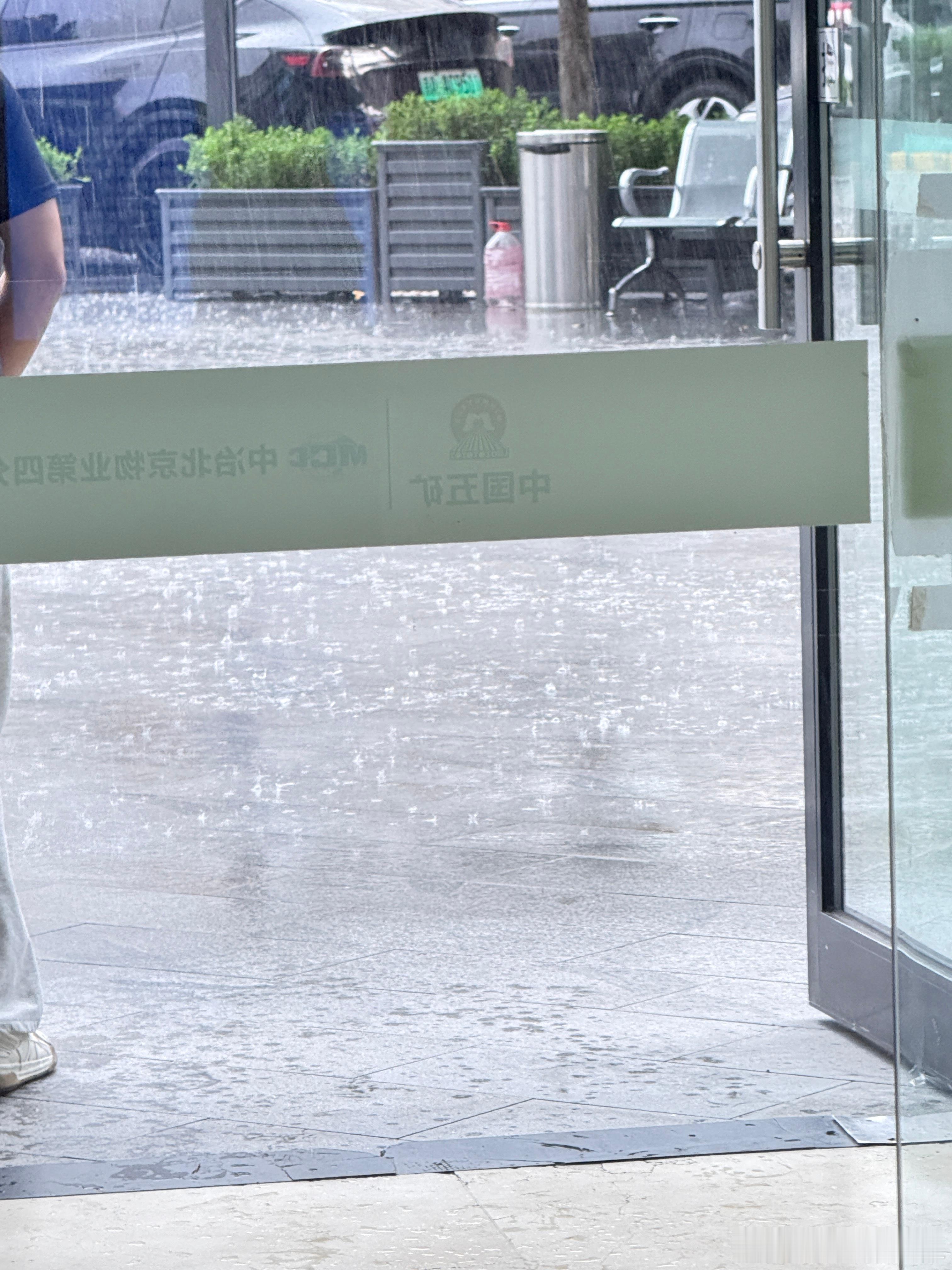 下雨啦 看来白海豚进京证办下来了