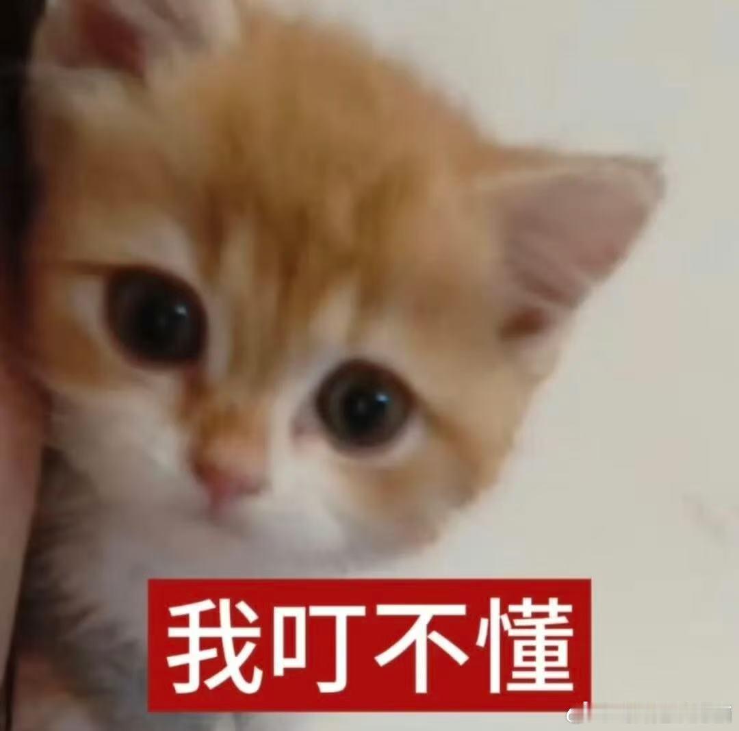 下班了竟然还遇到它，真的是心情全毁！上班时间还能装作没事，笑着应对，但下班时看到