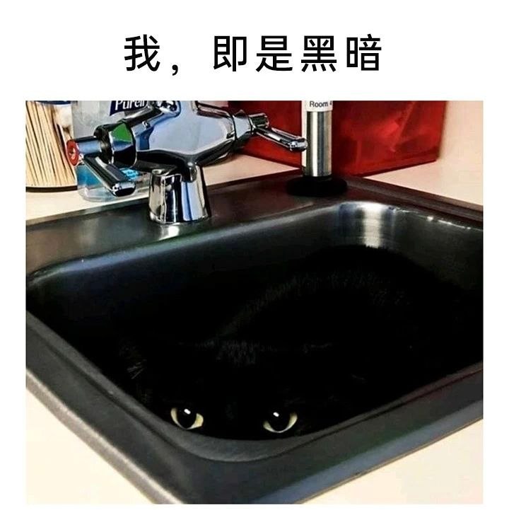 凝视深渊 