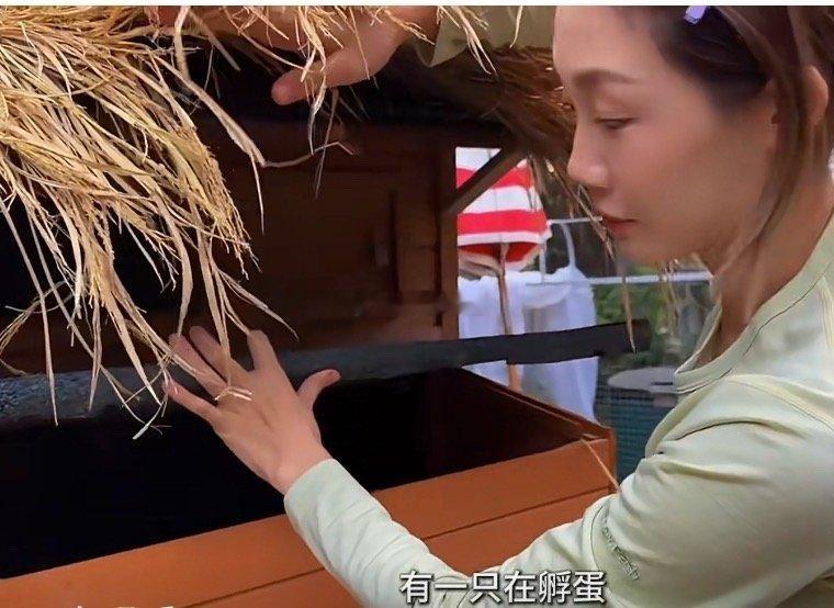 原来苗苗是这么有意思的人苗苗真的是一个特别爱生活的人，能真实的将个人对田园生活的