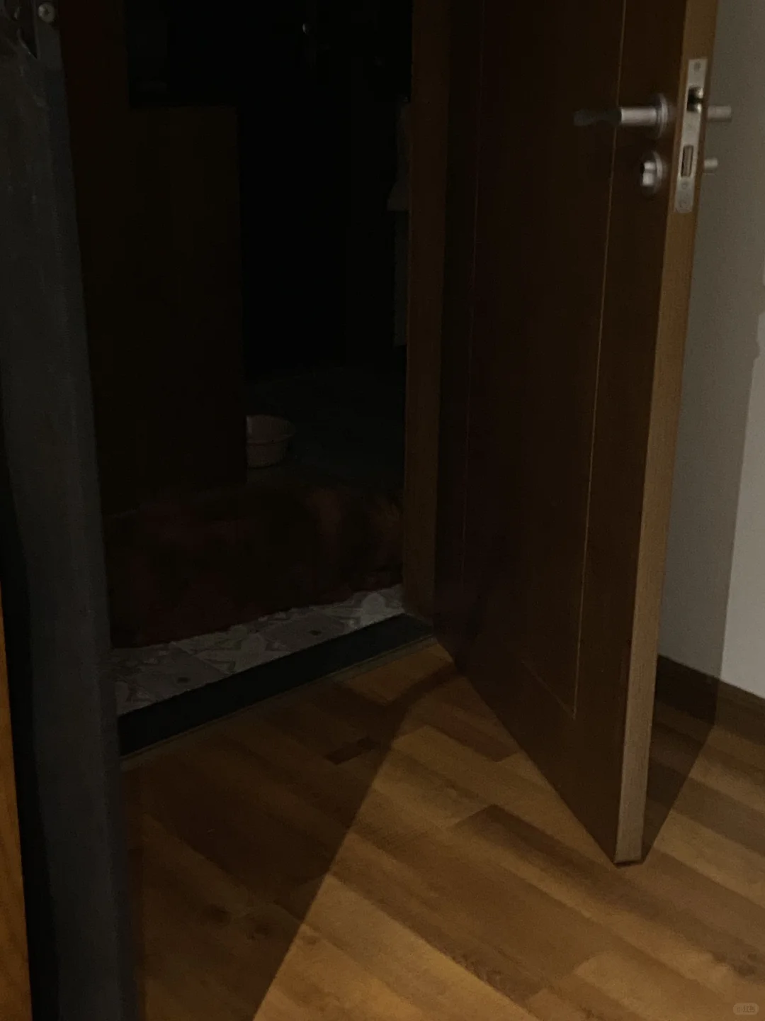 夜晚的家