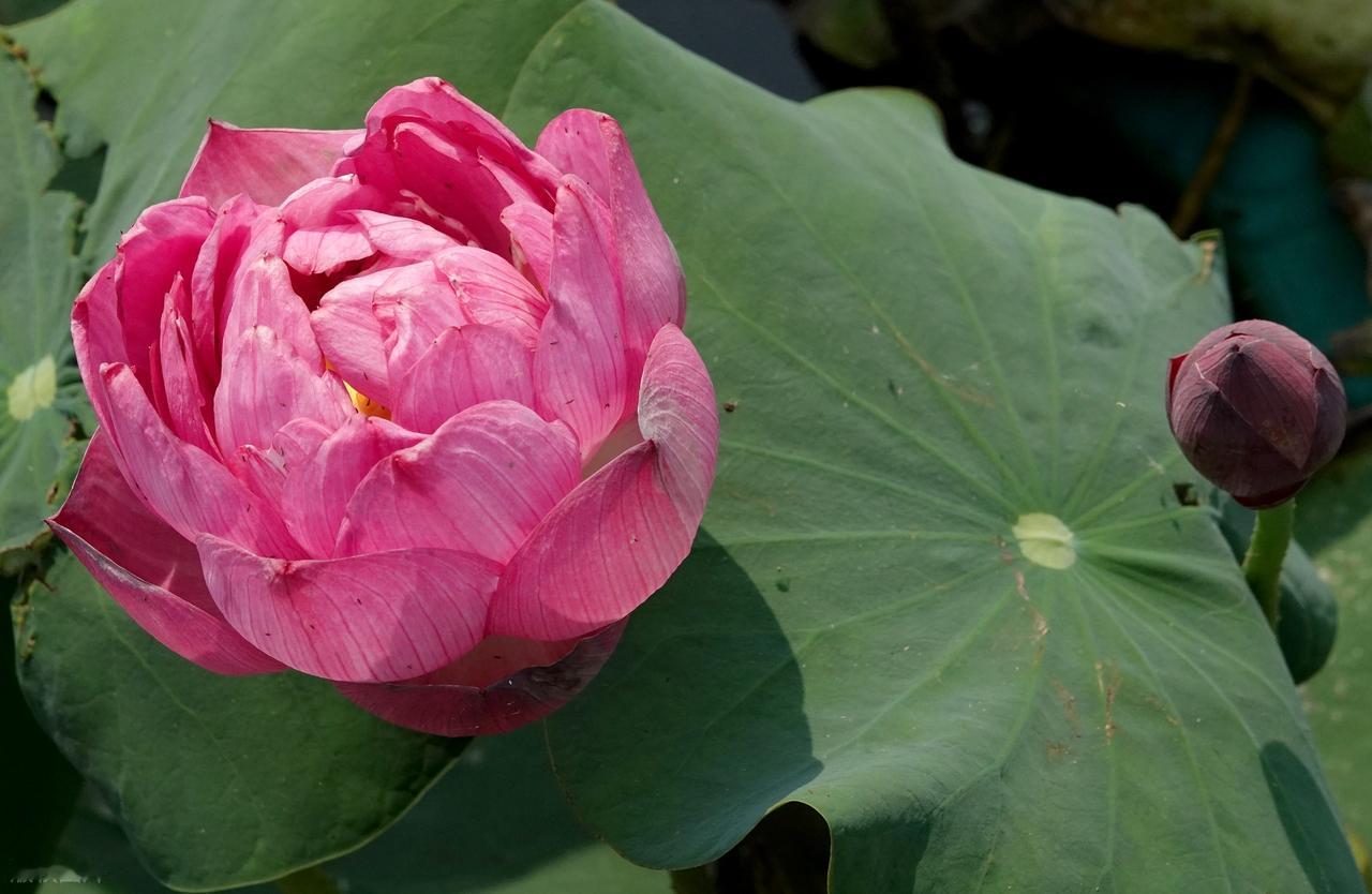 这些年，你一个人练习一个人，东西坏了自己修，累了就睡觉，想哭就找喜剧片来笑，生活