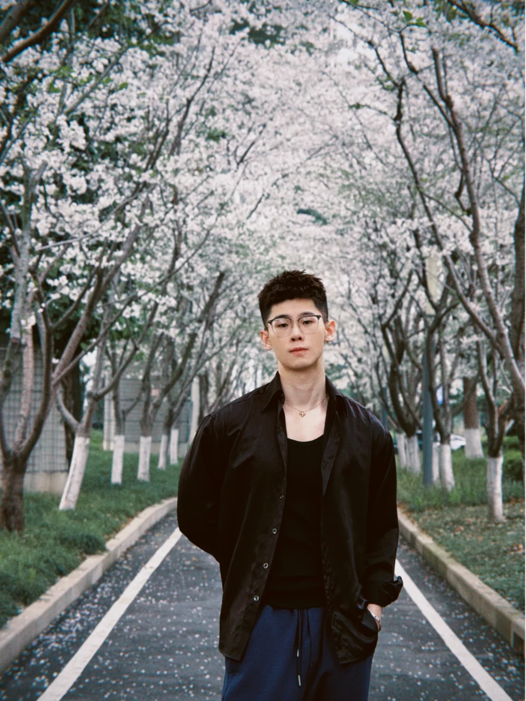 上海也有樱花大道🌸