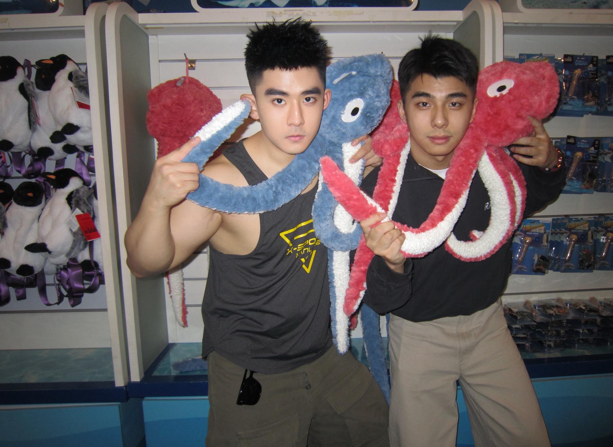 水族馆之娃娃店坏事做尽。