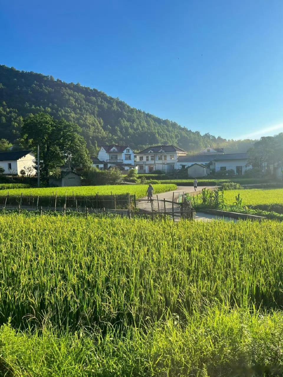 自由的一生是感受自我独处与沿途风景，禁锢灵魂的枷锁源于过度的顾虑，我们不应将自己