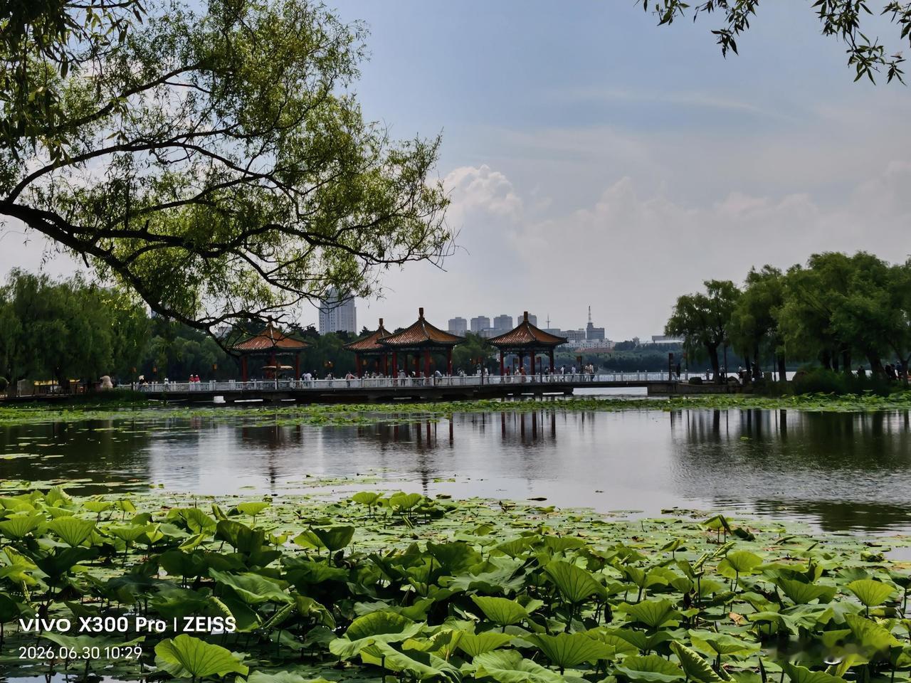 长春南湖夏日景色随手拍。
打卡南湖美景 随手拍南湖风景。