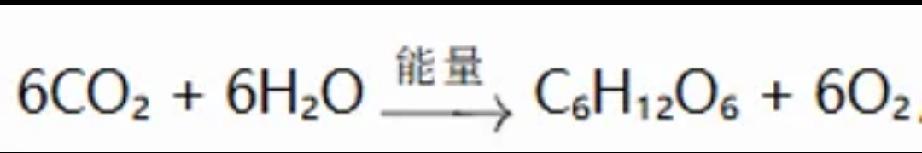 硝化细菌合成有机物是否产生氧气
一、硝化细菌合成有机物的化能合成过程不产生氧气