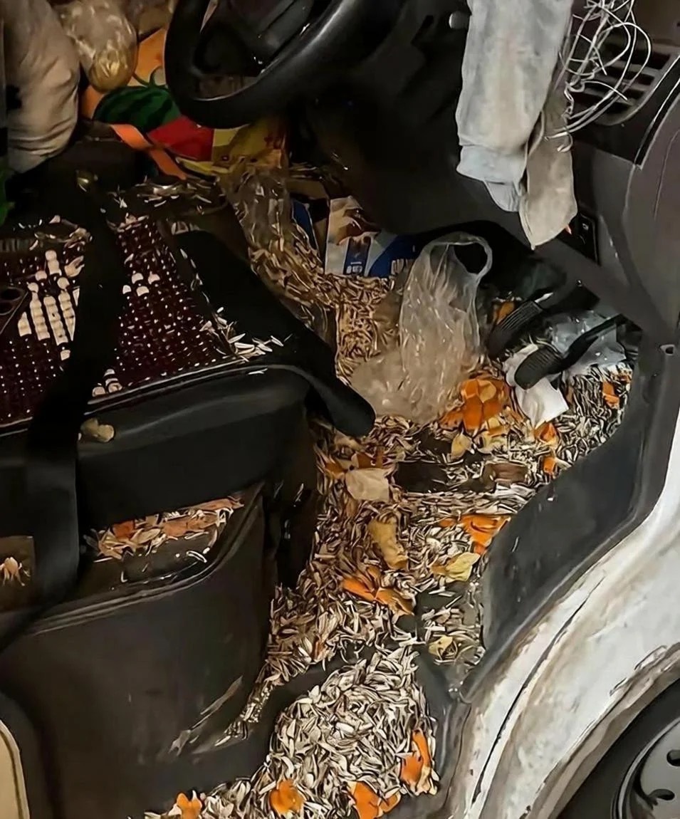 这就是大货车司机的日常 
