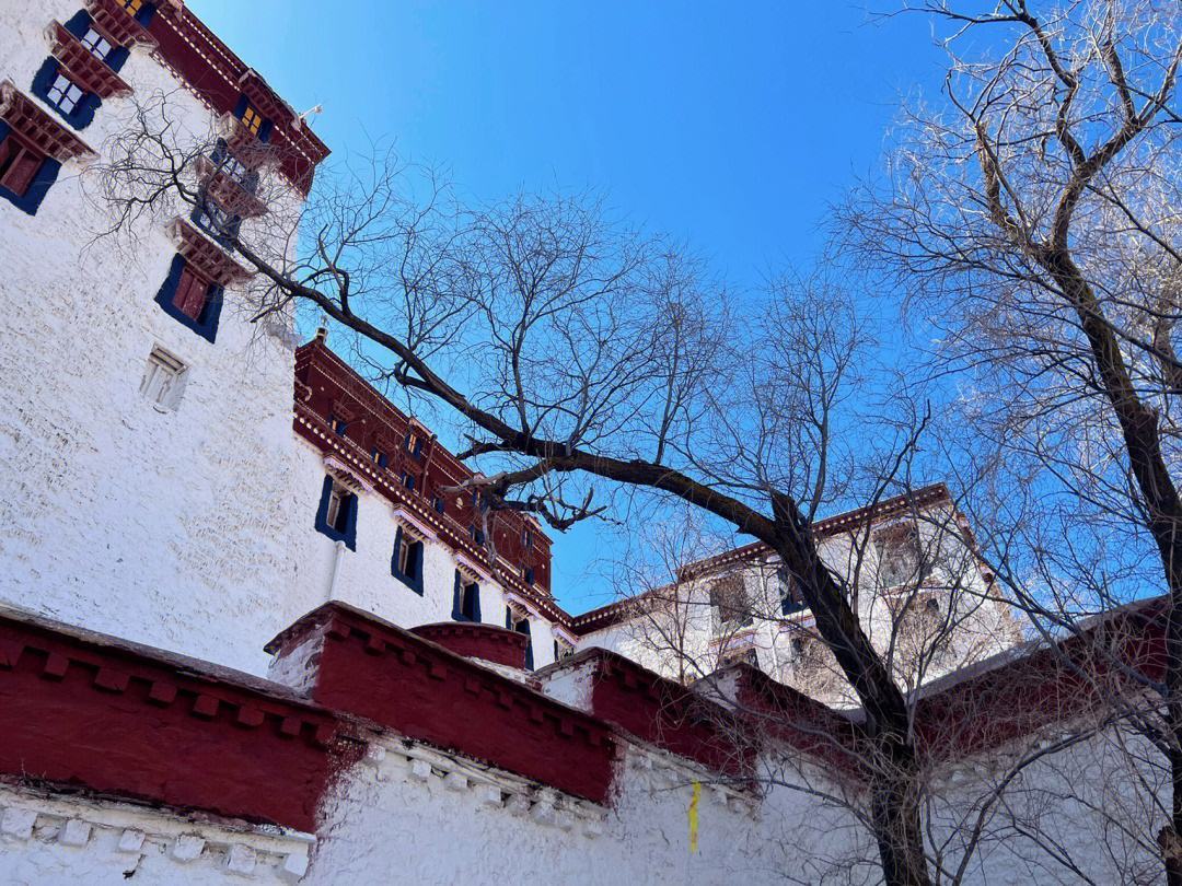#西藏缺氧但不缺信仰##旅行结束让你念念不忘的是什么#快乐的不是当时，而是当时的