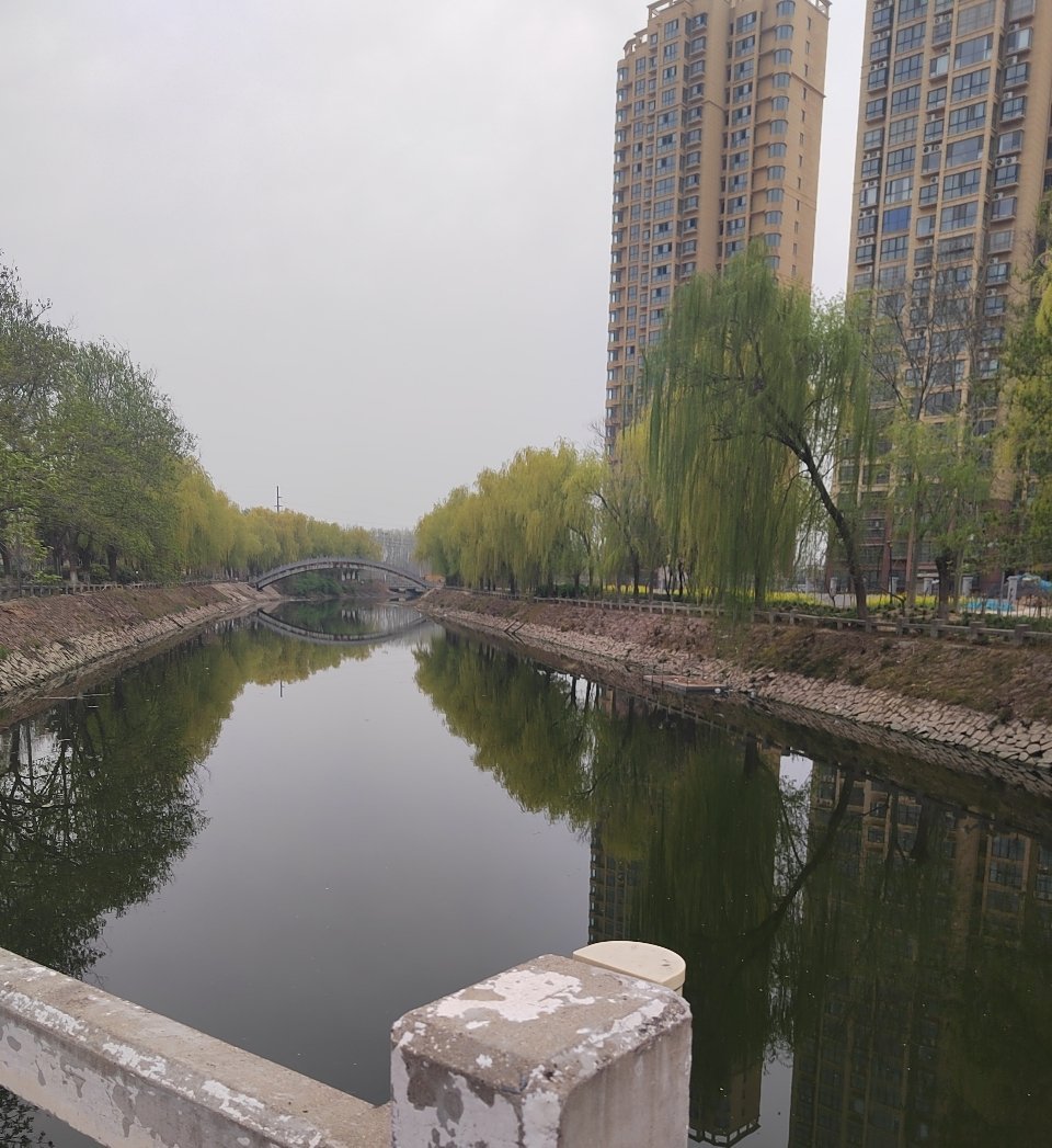 雨是小雨冷也是真冷才脱了两天的秋裤又穿上了而且，羽绒服也重新上岗了每天摸鱼打卡