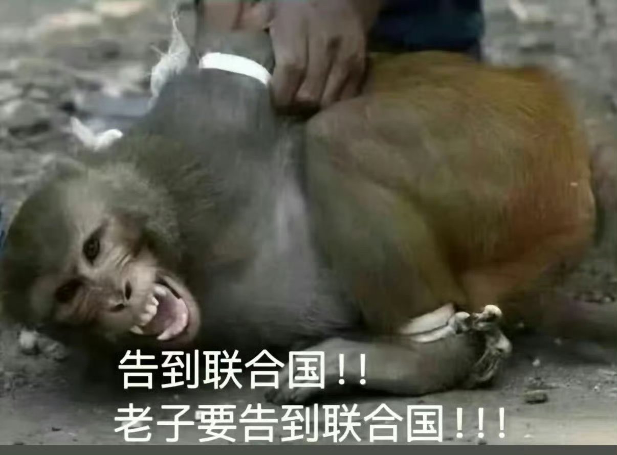 快点到7月吧，没流量用了 