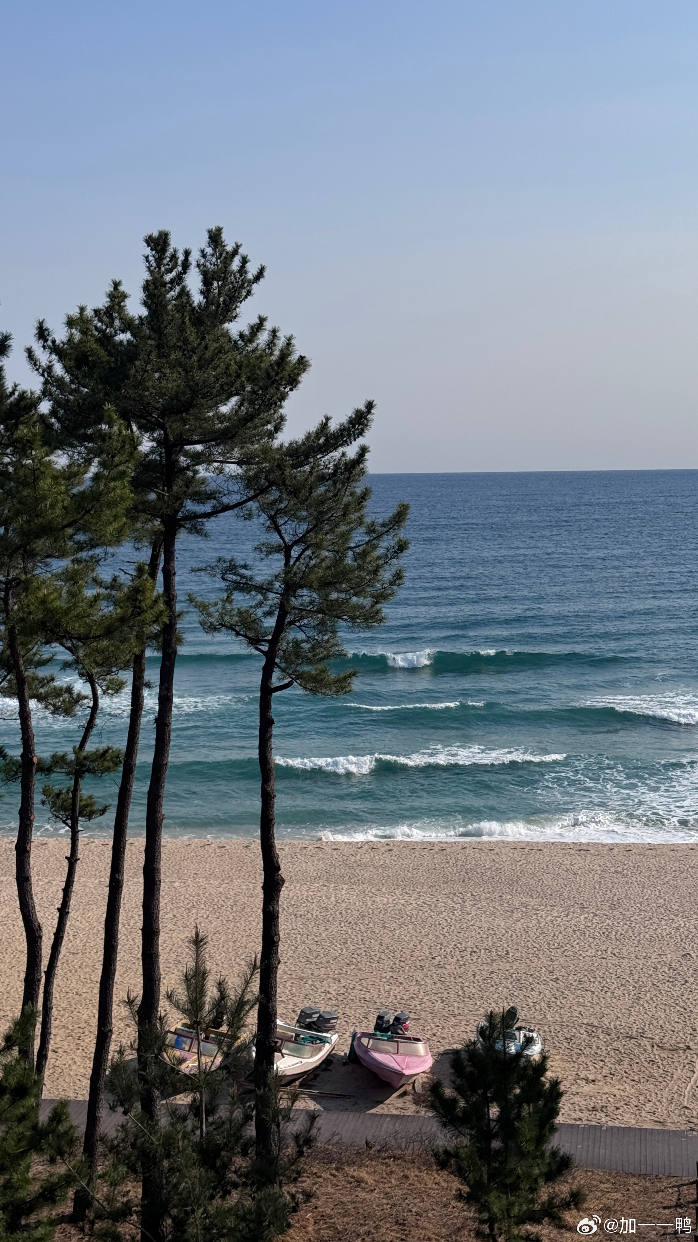 随手一拍都好美独加记一 韩国·江陵