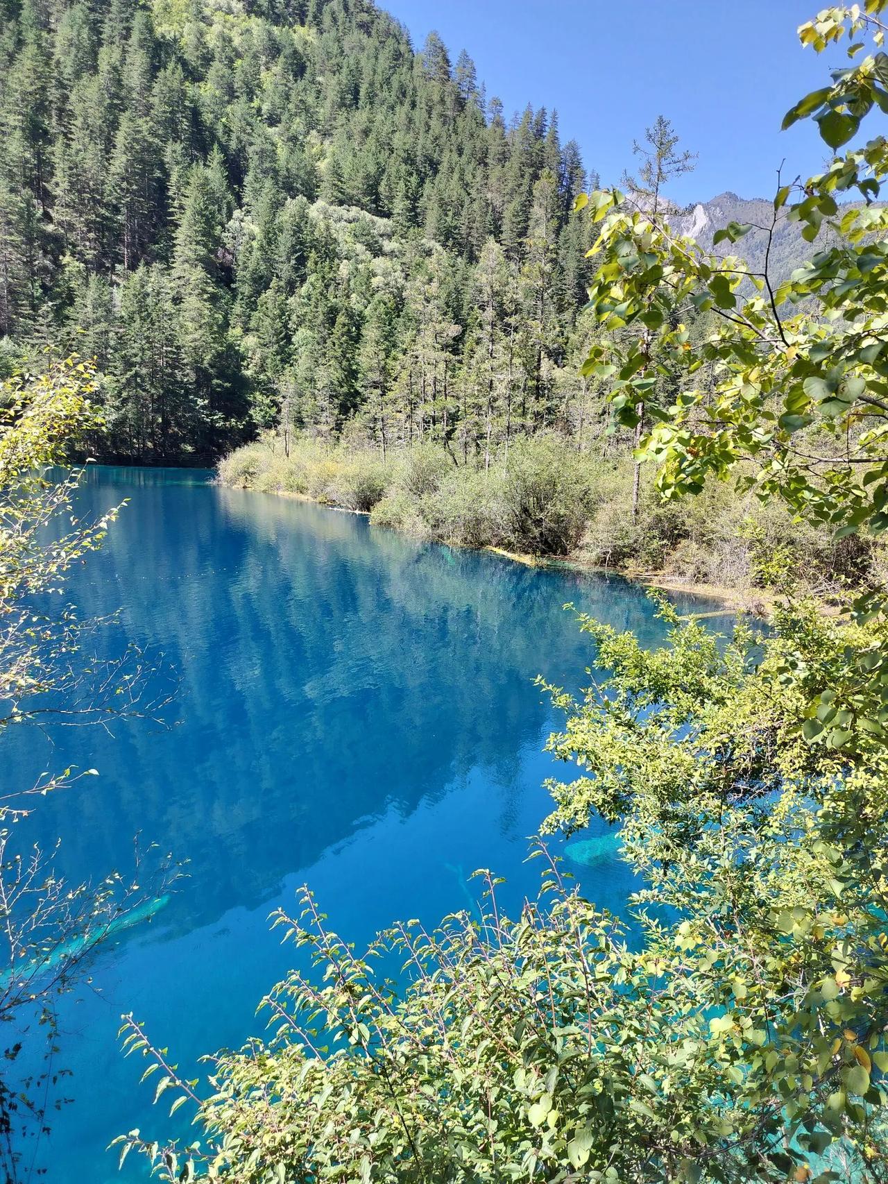 新年爱好打卡加油