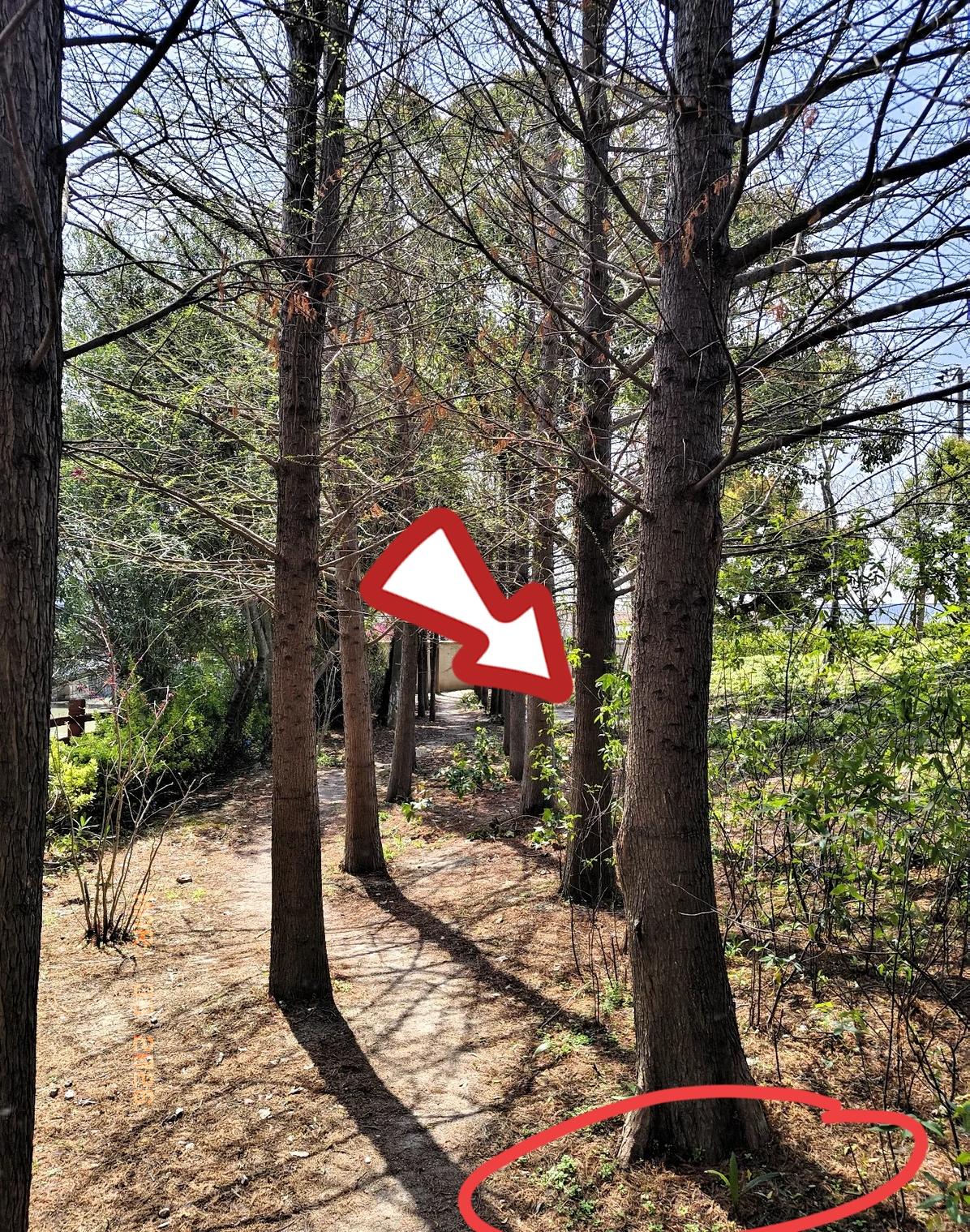 张雪峰给所有姑娘的忠告，我劝你一字一句读完：
“别为了一个人去一座城，要为了自己