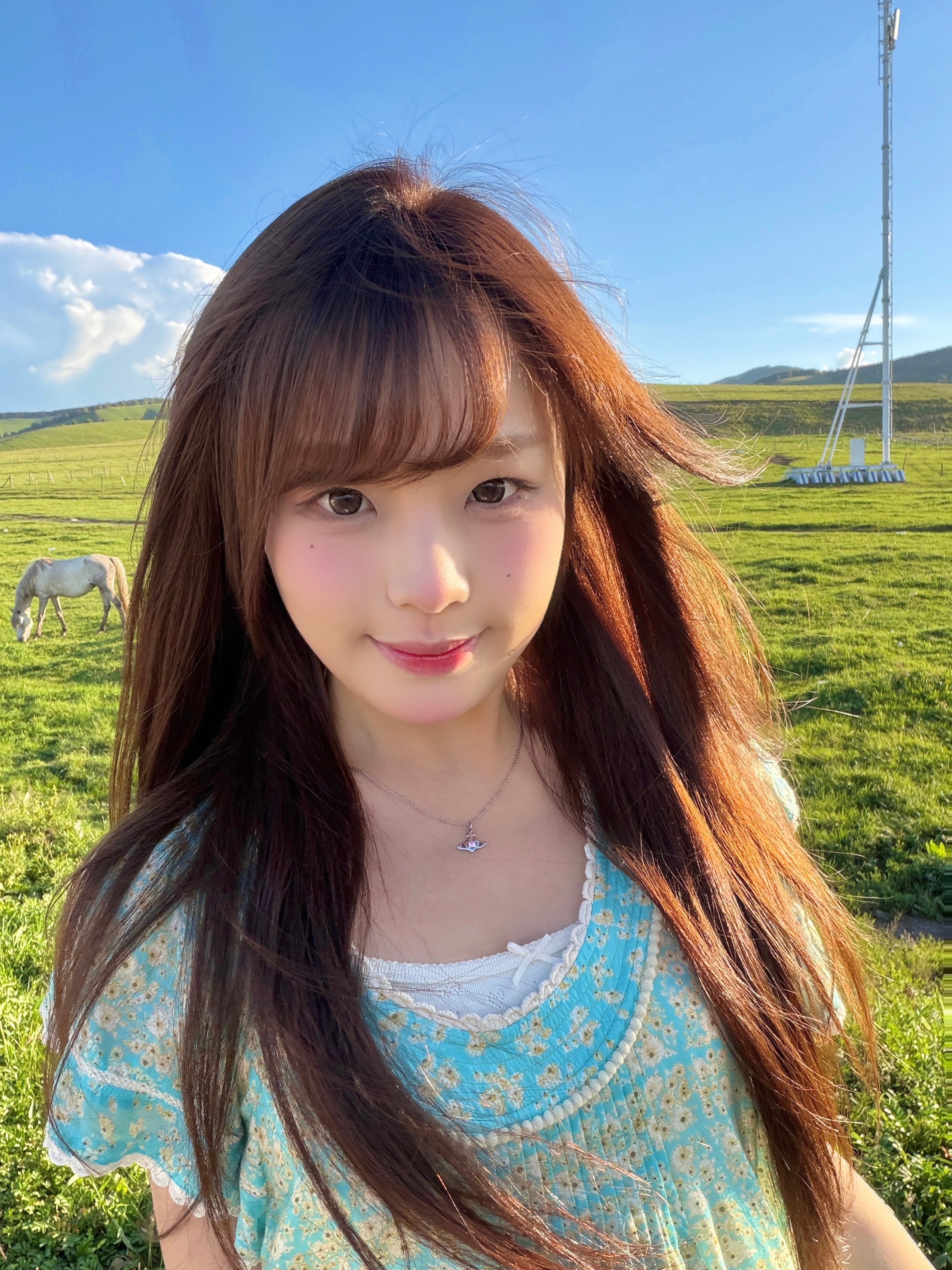 🐑咩咩 