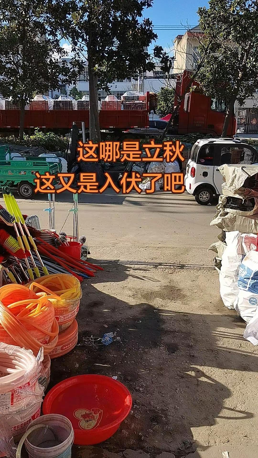 夏天都没热死，却要热死在秋天😭😭😭