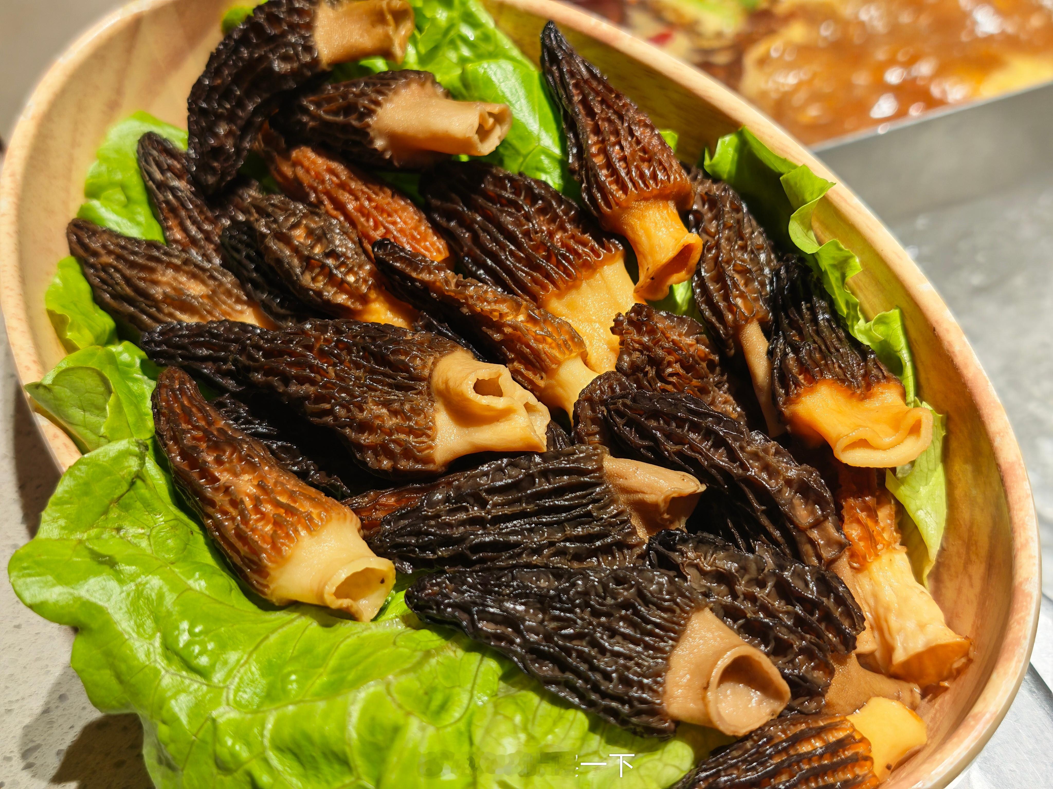 晚安朋友们，今晚吃了羊肝菌