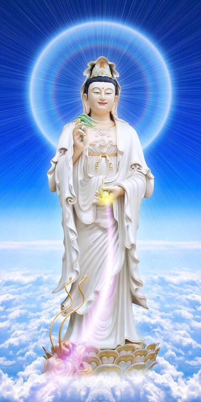 今天是公元2024年8月22日，农历七月十九，星期四
处暑节气，今天开始暑气将离