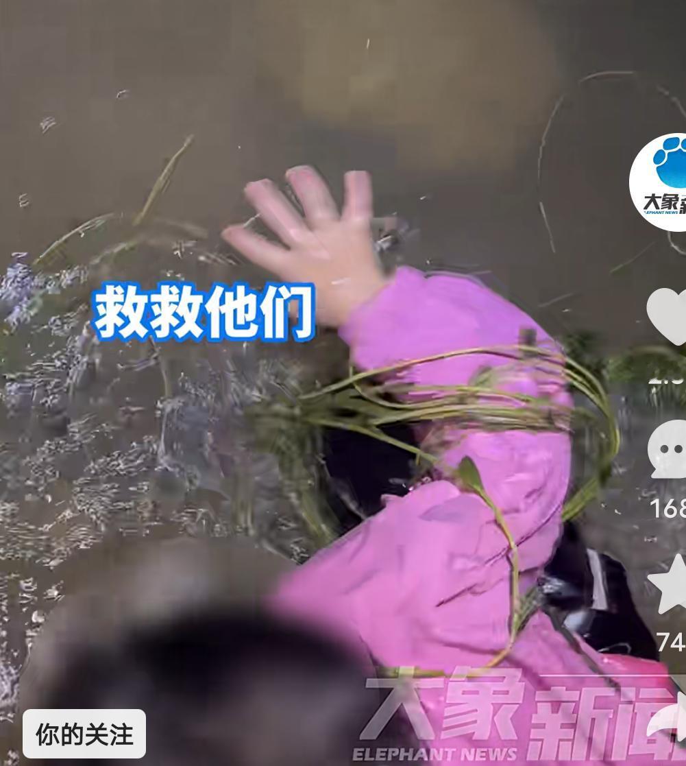 河南邓州，一个5岁女孩不慎落水，顺流漂了3里路，然而当她获救后，说出的第一句话，