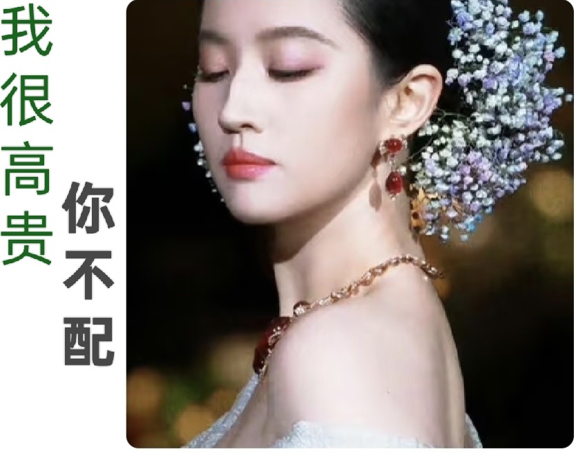 好莱坞有人民选择奖、儿童选择奖、青少年选择奖、评论家选择奖内娱有刘亦菲不选择奖，