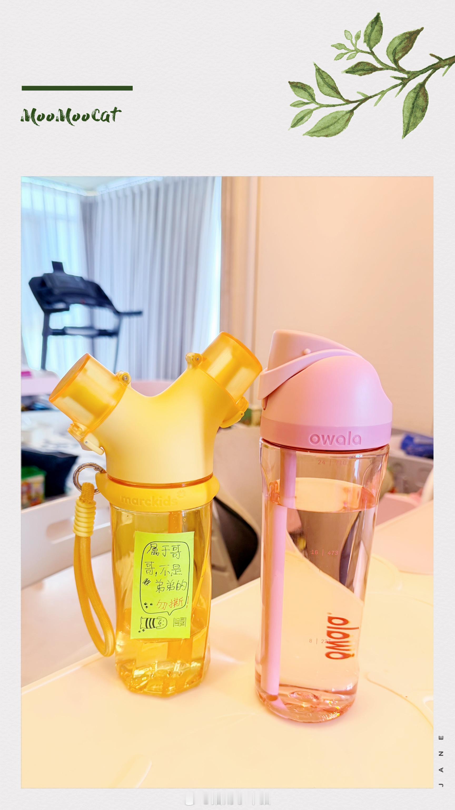 昨天我新买的水杯到了哥哥弟弟说好漂亮的杯子给谁用啊我说喜欢的话你俩可以竞拍给你们