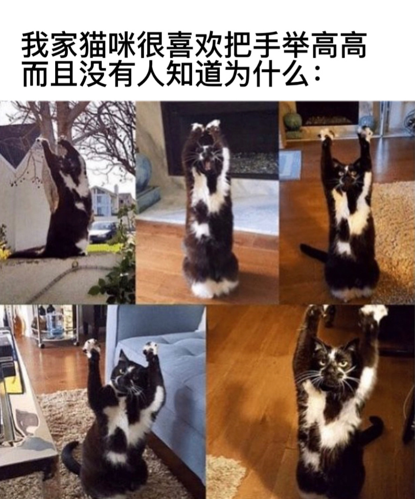 某种仪式#今日memes# //#龙年造梗大赛# ​​​