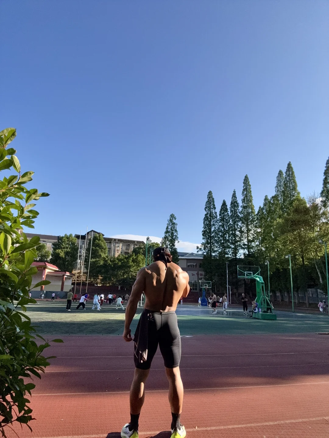 台风过后🌀