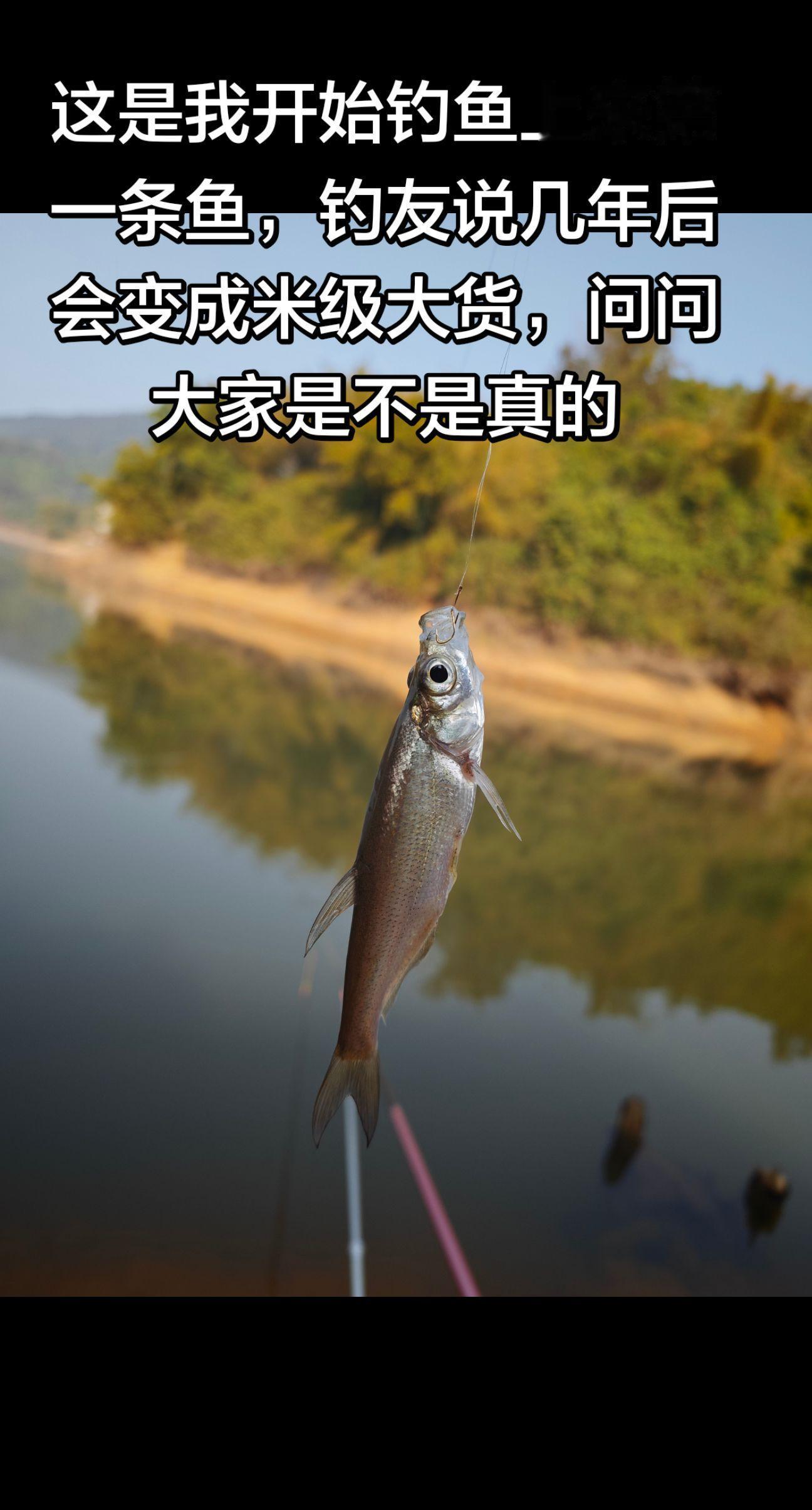 钓鱼真的会上瘾吗，新手入坑有什么要注意的