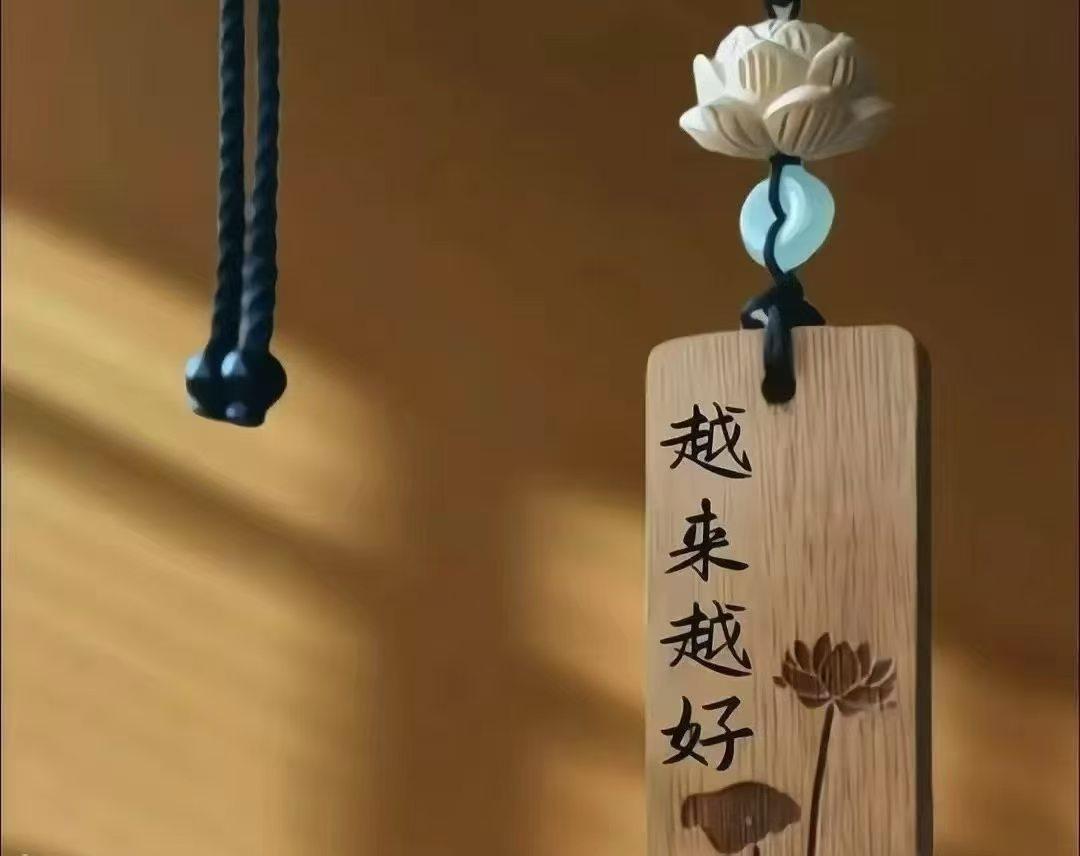 不必接纳所有靠近你的人，不必承接所有人的负面情绪。人这一生，最该学会的不是迁就，