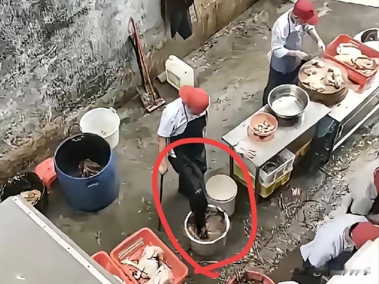 老莫能做出这种事一点都不奇怪！

这两天网上又传出一段视频，是老莫鸡煲后厨宰鸡的